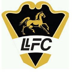 Llaneros FC