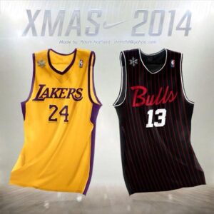 Lakers v Bulls Natal 2014